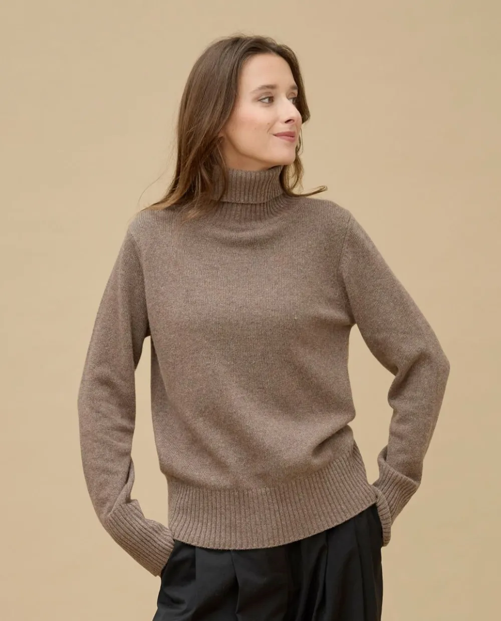 Acanthe Pull col roulé laine-cachemire Marron Discount